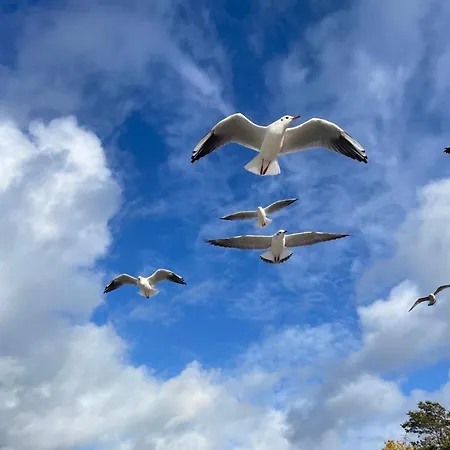 Szmaragdowy Relaks *