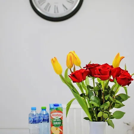 Szmaragdowy Relaks شقة