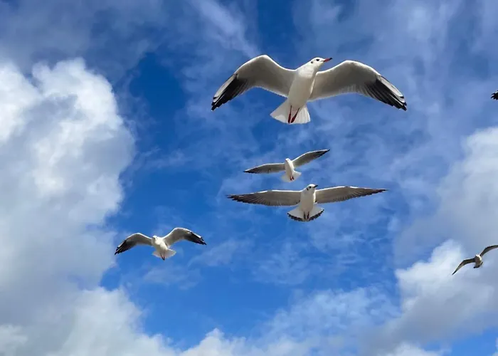 Szmaragdowy Relaks *